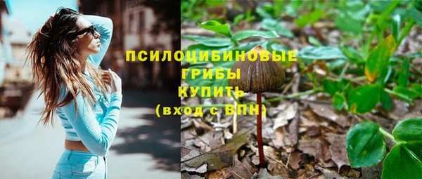 шишки Нефтекумск