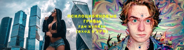 шишки Нефтекумск