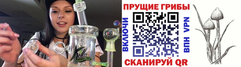 Галлюциногенные грибы Psilocybine cubensis  Купить  Фролово 